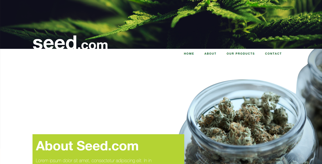 This is the background image for Seed.com